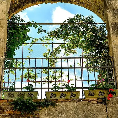 La Divine * Split
